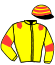 casaque portée par Riou C. jockey du cheval de course WADELINE, information pmu ZETURF casaque portée par Riou C. jockey du cheval de course WADELINE, information pmu ZETURF