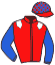 casaque portée par Lestrade B. jockey du cheval de course BLUE STYLE, information pmu ZETURF casaque portée par Lestrade B. jockey du cheval de course BLUE STYLE, information pmu ZETURF