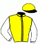 casaque portée par Guyon M. jockey du cheval de course MISTYSEA, information pmu ZETURF