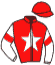 casaque portée par Boisseau L. jockey du cheval de course DSCHINGIS PUNK, information pmu ZETURF