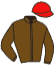 casaque portée par Demuro C. jockey du cheval de course ZVALIKOVA, information pmu ZETURF