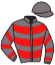 casaque portée par Besnier H. jockey du cheval de course PARIOLO, information pmu ZETURF
