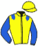casaque portée par Demuro C. jockey du cheval de course SAN TEODORICO, information pmu ZETURF