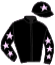 casaque portée par Guyon M. jockey du cheval de course DANSEUSE CELEBRE, information pmu ZETURF