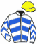 casaque portée par Zuliani A. jockey du cheval de course LE RIVAGE, information pmu ZETURF casaque portée par Zuliani A. jockey du cheval de course LE RIVAGE, information pmu ZETURF