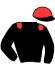 casaque portée par Pouchin A. jockey du cheval de course SAVE THE SEA, information pmu ZETURF