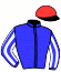 casaque portée par Thiebaut Mlle O. jockey du cheval de course ELOAVE DES GOATS (FR), information pmu ZETURF
