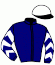 casaque portée par Mayeur R. jockey du cheval de course BOOGIE (FR), information pmu ZETURF