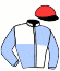 casaque portée par Journiac Tho. jockey du cheval de course HACKLE SETTER (US), information pmu ZETURF