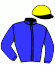 casaque portée par Besnier H. jockey du cheval de course FAVREALE (IE), information pmu ZETURF