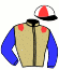 casaque portée par Besnier H. jockey du cheval de course DAME GLADYS (GB), information pmu ZETURF