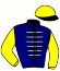 casaque portée par Pietsch A. jockey du cheval de course TROISCENTSEPT (FR), information pmu ZETURF
