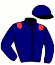 casaque portée par Maillot S. jockey du cheval de course PRINCEDESCHAMPS (FR), information pmu ZETURF