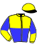 casaque portée par Mendizabal I. jockey du cheval de course TOPCITY (FR), information pmu ZETURF