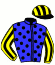 casaque portée par Pouchin A. jockey du cheval de course TIGER LADY (CH), information pmu ZETURF