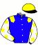 casaque portée par Salmon D. jockey du cheval de course AUREOLE (FR), information pmu ZETURF