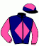 casaque portée par D' Andigne O. jockey du cheval de course ELECTROSCOPE (IE), information pmu ZETURF