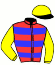 casaque portée par Lemaitre A. jockey du cheval de course TWO WEEKS (GB), information pmu ZETURF