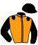 casaque portée par Paillard S. jockey du cheval de course FINES AILES, information pmu ZETURF