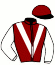 casaque portée par Faltejsek J. jockey du cheval de course IVO (DE), information pmu ZETURF