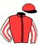 casaque portée par Dubourg P. jockey du cheval de course GRANDEUR NATURE, information pmu ZETURF
