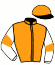 casaque portée par Boisseau L. jockey du cheval de course JANUARY MOON (FR), information pmu ZETURF