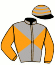 casaque portée par Trullier T. jockey du cheval de course FERKING AUTRECHENE (FR), information pmu ZETURF