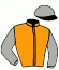 casaque portée par Farcinade M. jockey du cheval de course GEOF, information pmu ZETURF