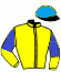 casaque portée par Reveley J. jockey du cheval de course CANICHETTE, information pmu ZETURF