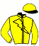 casaque portée par Mangione R. jockey du cheval de course TAWAT AL GUNAY, information pmu ZETURF