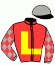 casaque portée par Besnier H. jockey du cheval de course SAGA TIMGAD, information pmu ZETURF