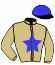 casaque portée par Berge C. jockey du cheval de course INVERTED SWAN, information pmu ZETURF