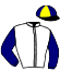 casaque portée par Mme Lien De Blende jockey du cheval de course BERGWIND, information pmu ZETURF