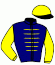 casaque portée par Pietsch A. jockey du cheval de course TROISCENTSEPT, information pmu ZETURF