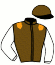 casaque portée par Prichard Mlle C. jockey du cheval de course PRINCESS LEA, information pmu ZETURF