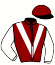 casaque portée par Faltejsek J. jockey du cheval de course IVO, information pmu ZETURF casaque portée par Faltejsek J. jockey du cheval de course IVO, information pmu ZETURF