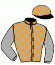casaque portée par Bachelot T. jockey du cheval de course ELAUNEIL, information pmu ZETURF