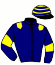 casaque portée par Riou C. jockey du cheval de course HUNBEUR, information pmu ZETURF