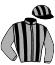 casaque portée par Besnier H. jockey du cheval de course THUNDERHEART, information pmu ZETURF