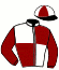 casaque portée par Belmont Cés. jockey du cheval de course PLATINE, information pmu ZETURF