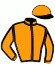 casaque portée par Ferreira N. jockey du cheval de course HOLETOWN, information pmu ZETURF