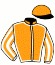 casaque portée par Carney Mme Mad. jockey du cheval de course CITIZEN DE PIBOIS, information pmu ZETURF casaque portée par Carney Mme Mad. jockey du cheval de course CITIZEN DE PIBOIS, information pmu ZETURF