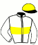 casaque portée par Philipperon L. jockey du cheval de course DIMITRI, information pmu ZETURF casaque portée par Philipperon L. jockey du cheval de course DIMITRI, information pmu ZETURF