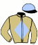 casaque portée par Beaubois L. jockey du cheval de course MERCINETTE, information pmu ZETURF casaque portée par Beaubois L. jockey du cheval de course MERCINETTE, information pmu ZETURF