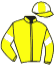 casaque portée par Mayeur R. jockey du cheval de course KADENCE DE MEE, information pmu ZETURF casaque portée par Mayeur R. jockey du cheval de course KADENCE DE MEE, information pmu ZETURF