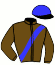 casaque portée par Lagadeuc F. jockey du cheval de course JOKER PLANCHETTE, information pmu ZETURF casaque portée par Lagadeuc F. jockey du cheval de course JOKER PLANCHETTE, information pmu ZETURF