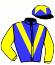 casaque portée par Besnier H. jockey du cheval de course ZELMAN, information pmu ZETURF casaque portée par Besnier H. jockey du cheval de course ZELMAN, information pmu ZETURF