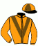 casaque portée par Pouchin A. jockey du cheval de course WAZIERS, information pmu ZETURF casaque portée par Pouchin A. jockey du cheval de course WAZIERS, information pmu ZETURF