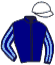 casaque portée par Lajon W. jockey du cheval de course ARMA DAZ, information pmu ZETURF casaque portée par Lajon W. jockey du cheval de course ARMA DAZ, information pmu ZETURF