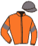 casaque portée par Lestrade B. jockey du cheval de course DELIRIUM TREMENS, information pmu ZETURF